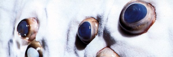 HezelAnna Profile Banner