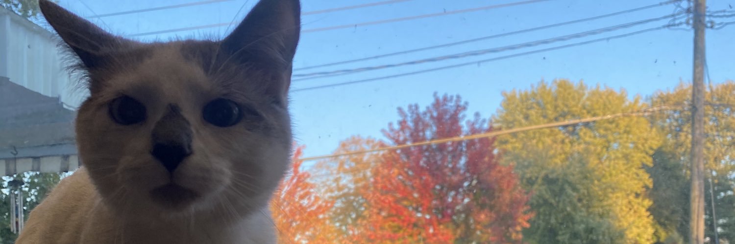 rreeseeeee's profile banner image