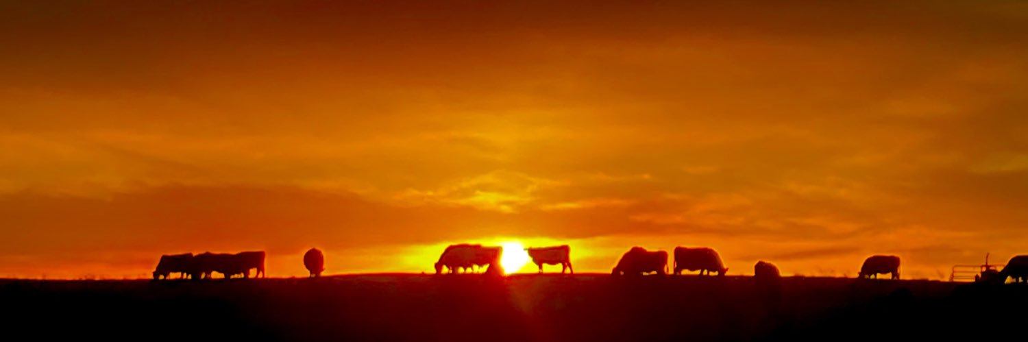 corn_husker's profile banner image