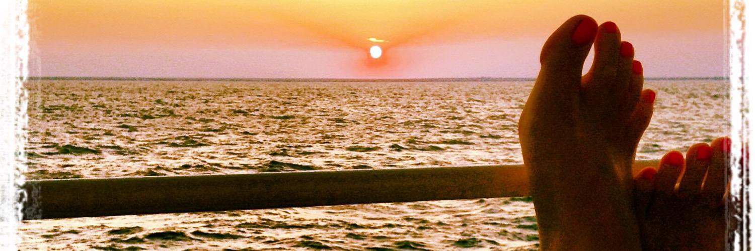 NBacher's profile banner image