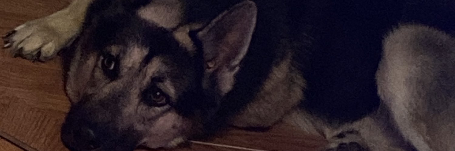 ALL_STAR_TB's profile banner image