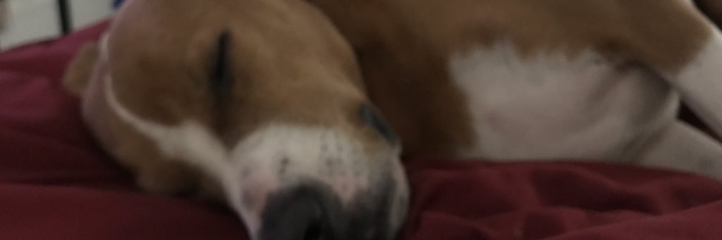 aleski__'s profile banner image