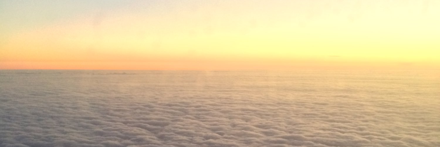 Beckysilvercat's profile banner image
