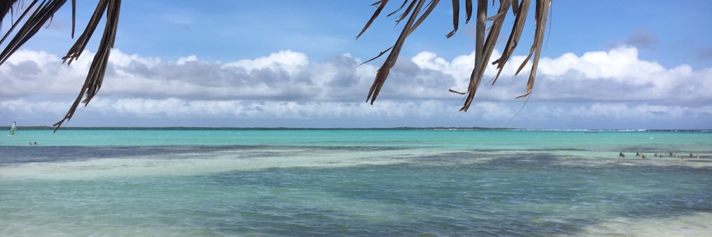 aboomgaardt's profile banner image