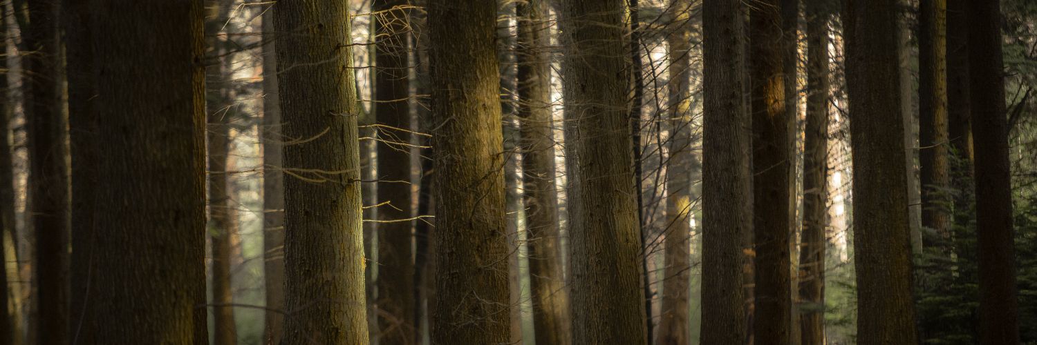 Tom16k's profile banner image
