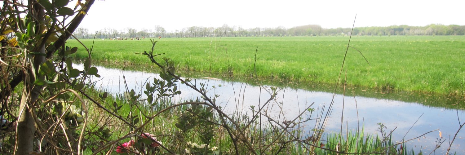GHCvanderLingen's profile banner image