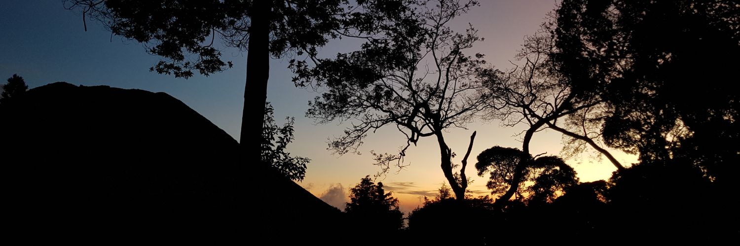 MejiaAle_'s profile banner image