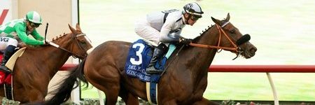 Stakeshorses's profile banner image