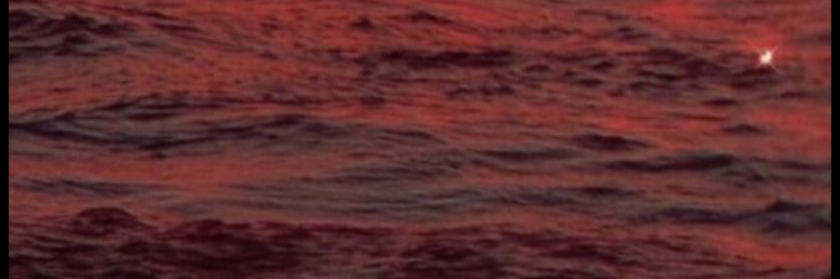 çiğdem banner