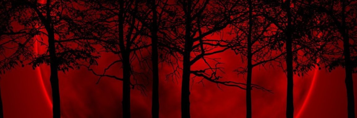 Mab_n's profile banner image