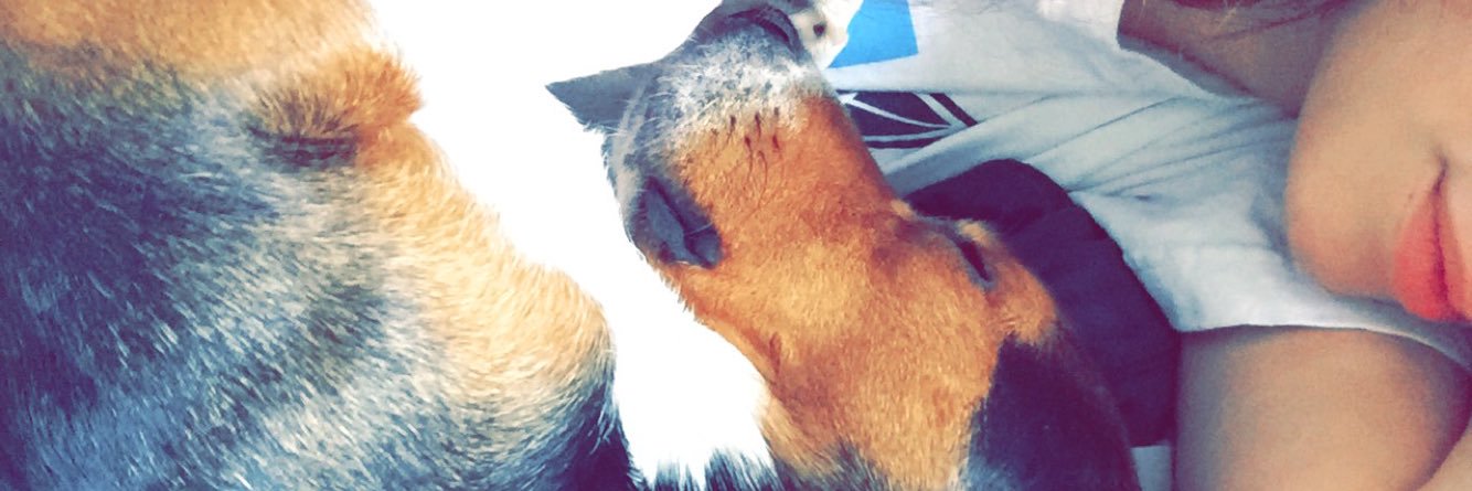 charissaajade's profile banner image