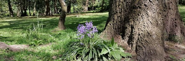 dgallagher000 Profile Banner