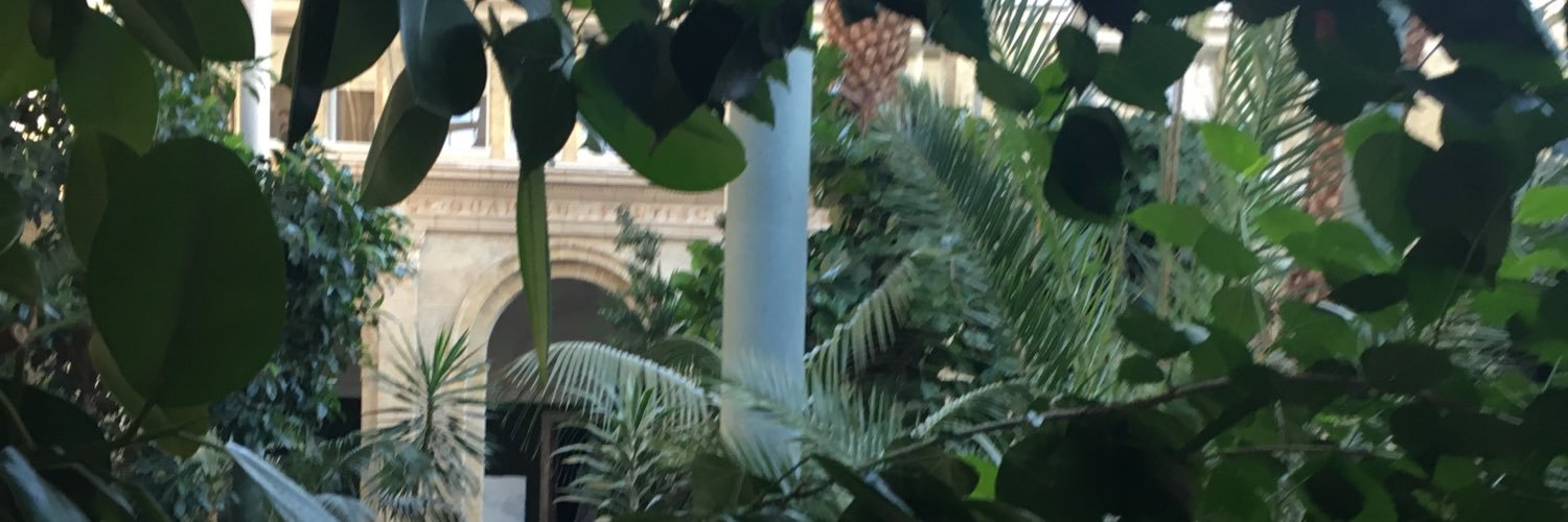 oddufo's profile banner image