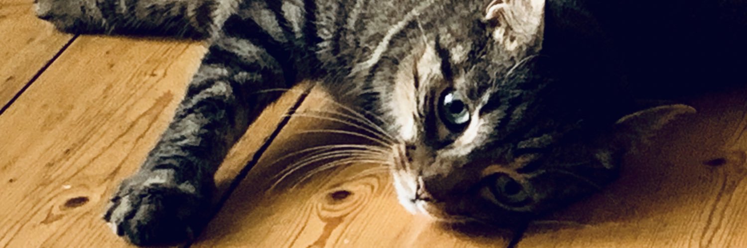 TanteFelbi's profile banner image