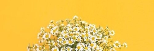 DeAnna ♡ banner