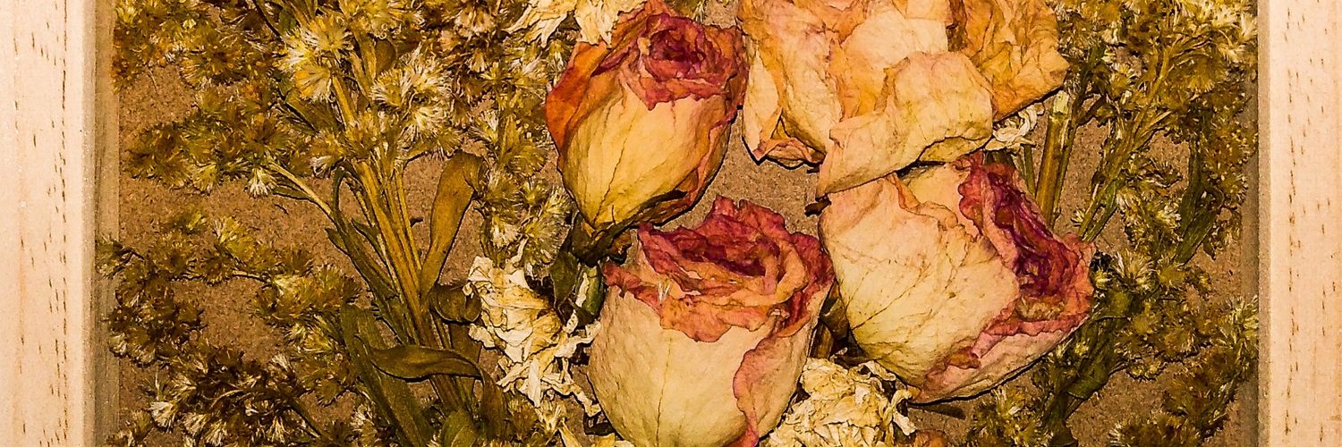 Bluemintberry's profile banner image