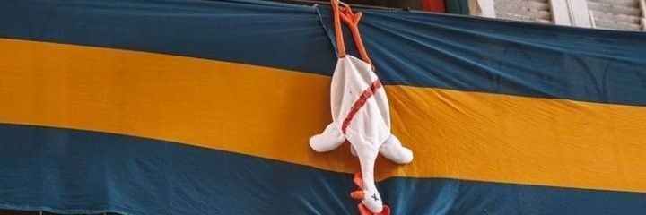 fedenegro12's profile banner image