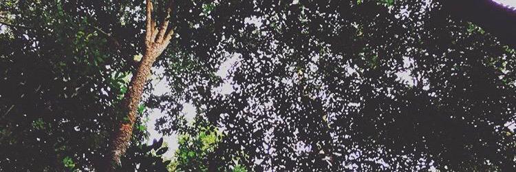 Dilajos's profile banner image