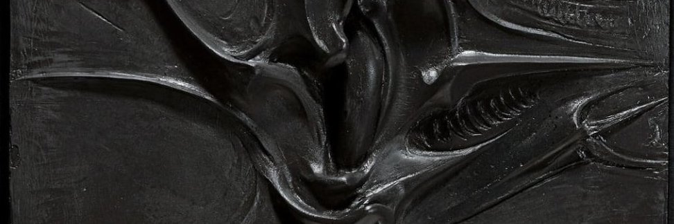 maxwell neely-cohen's banner
