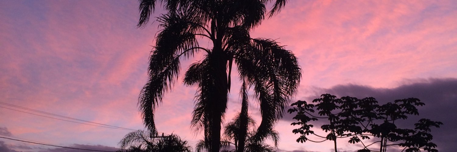 Pequena_Dje's profile banner image