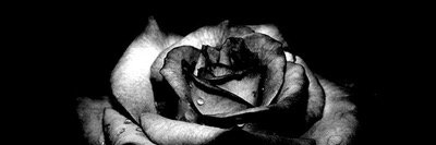 amberpjoyner's profile banner image