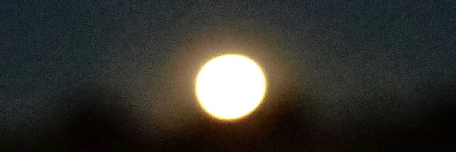 palapa67's profile banner image