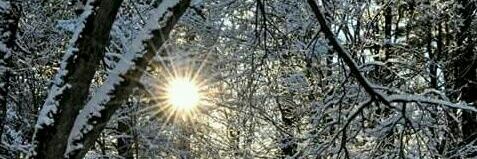 Revenge Stalking Survivor banner