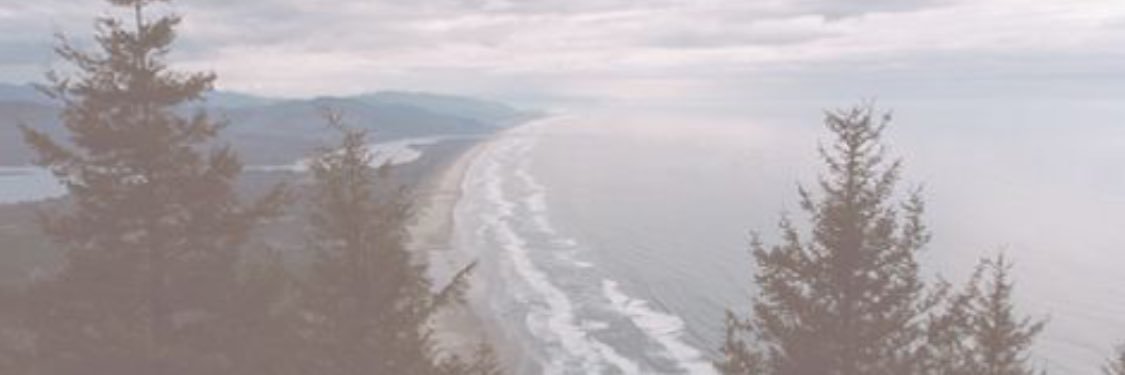 quinnmxckenzie's profile banner image