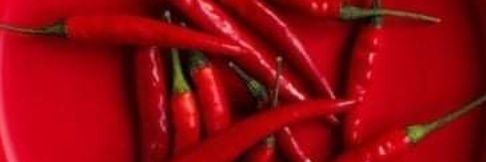 𝖠𝖽𝖺𝗇𝖺𝗅ı 𝖳𝖺𝗒𝖿𝗎𝗋 banner