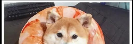 auritz_'s profile banner image