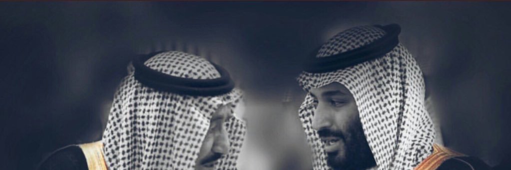 Randa Omar banner