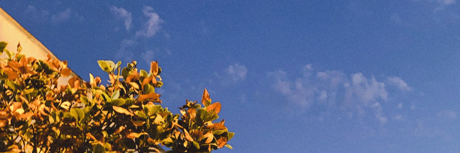 nmshella's profile banner image