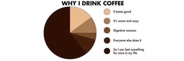 boboddly Profile Banner