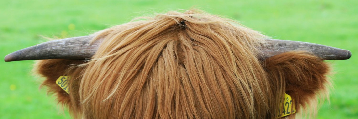 Milad Khajavi profile banner