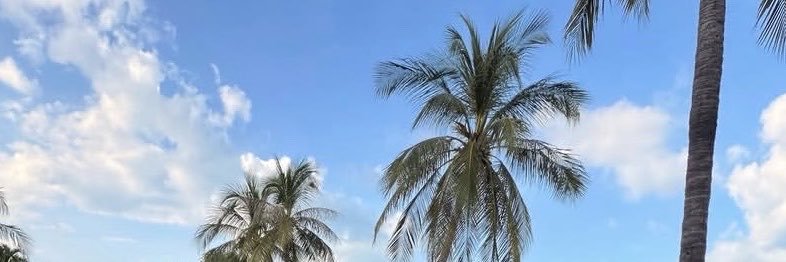 LiliShubert's profile banner image