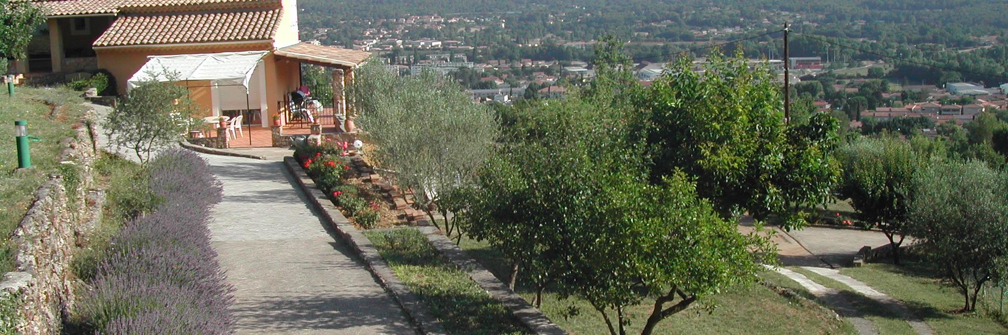 michel Accossano banner