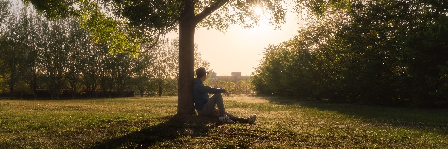 mf_landscapes's profile banner image