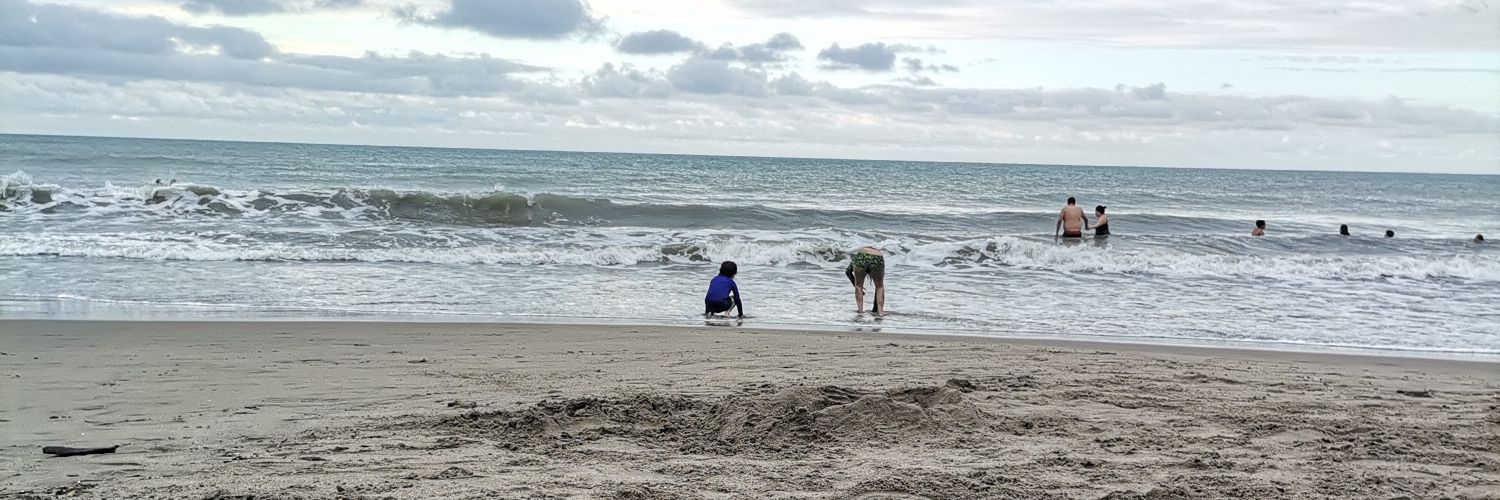 Carlos Andrés Manzano banner