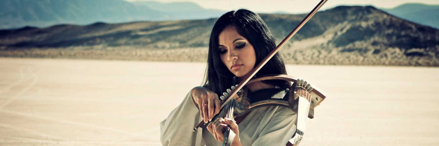 Gingger Shankar banner