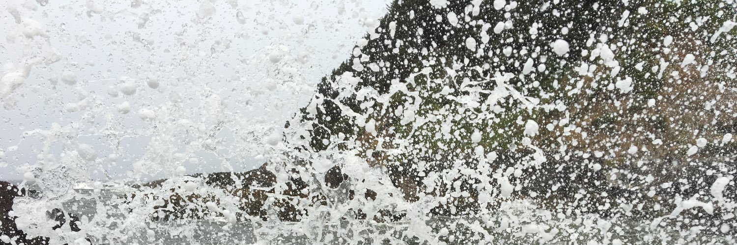 rydoglee's profile banner image