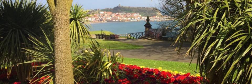 StayInScarboro's profile banner image