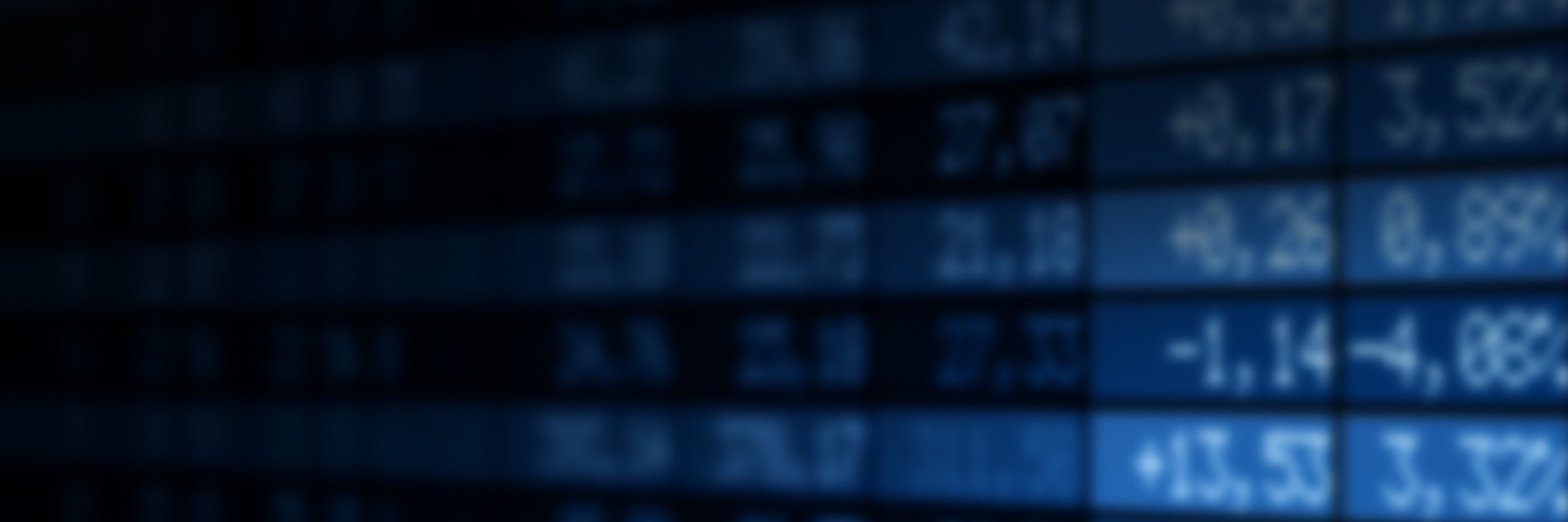 Maldives Stock Exchange banner