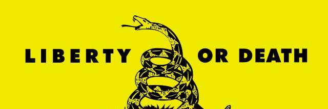 Mike p banner