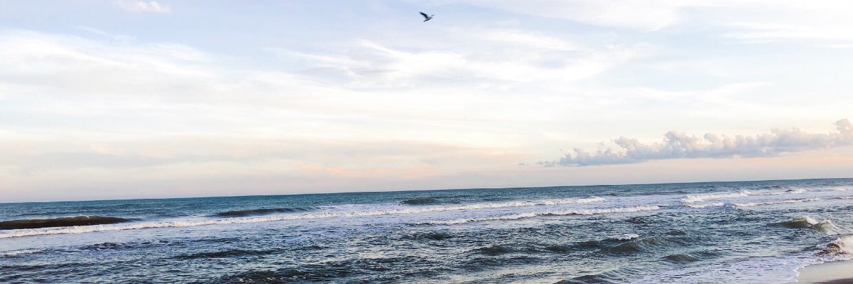 EmmaaSilva's profile banner image