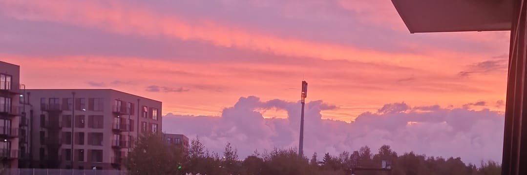gretaaerdei's profile banner image