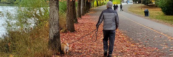 yesarang Profile Banner