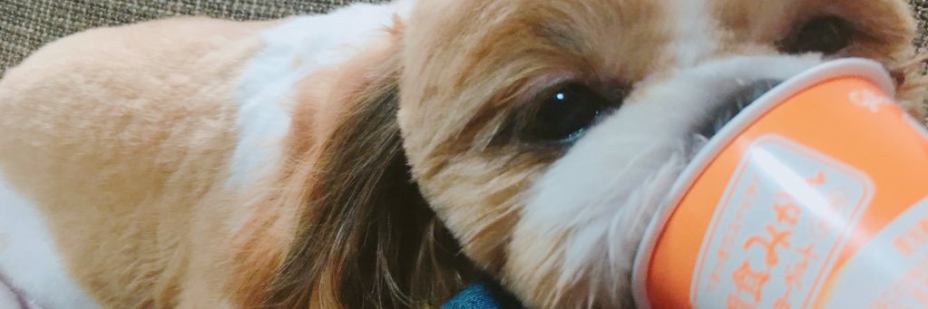 taropikun's profile banner image