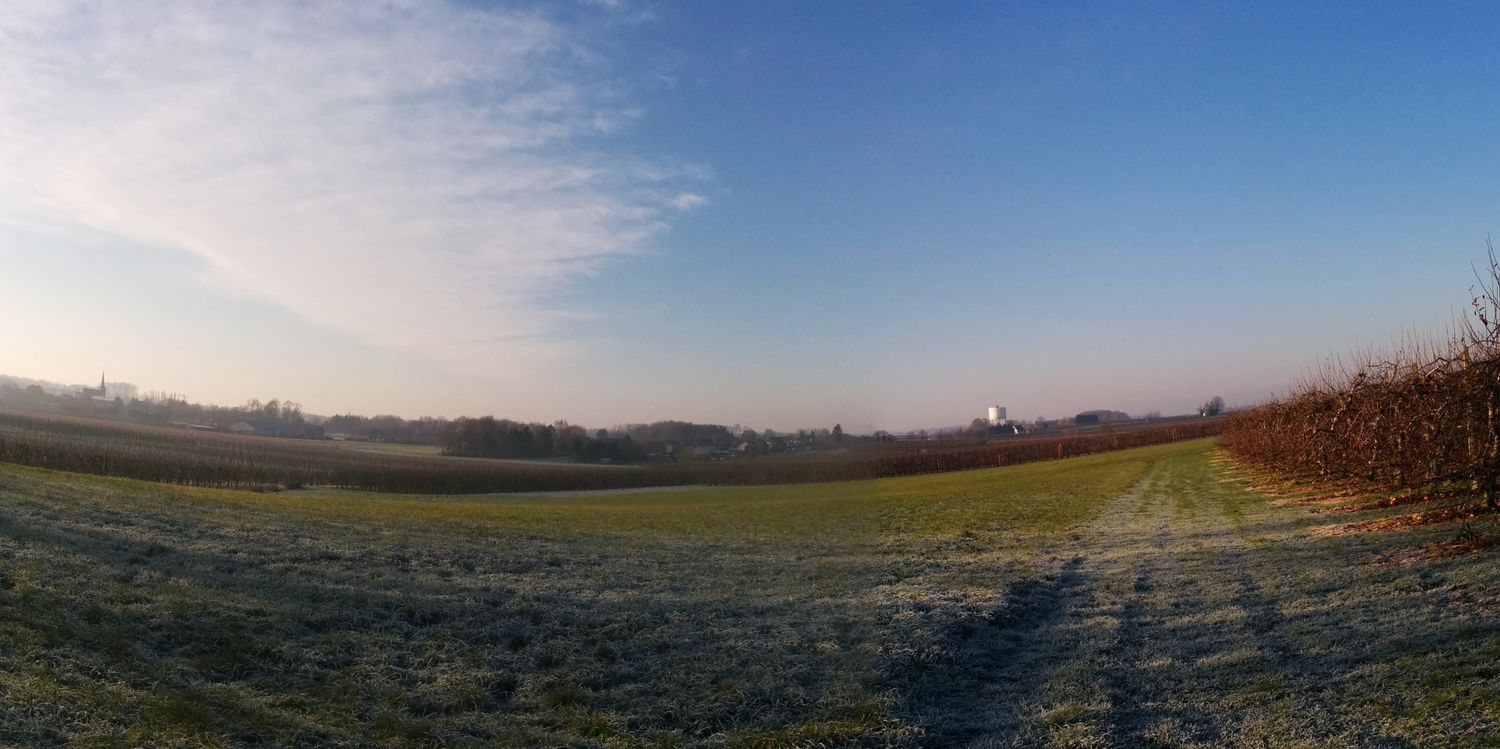 Flodderwykx's profile banner image