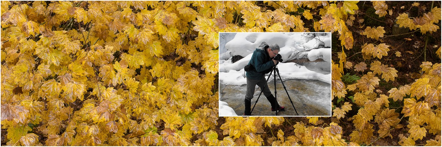 ckwrightphoto's profile banner image