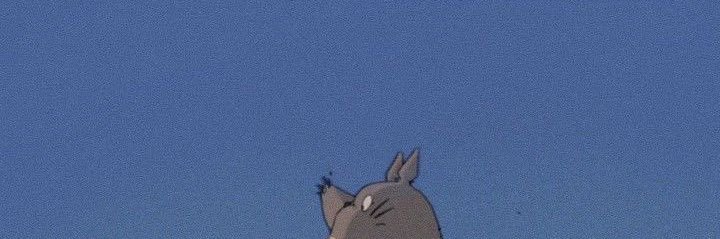 ptdrmt's profile banner image